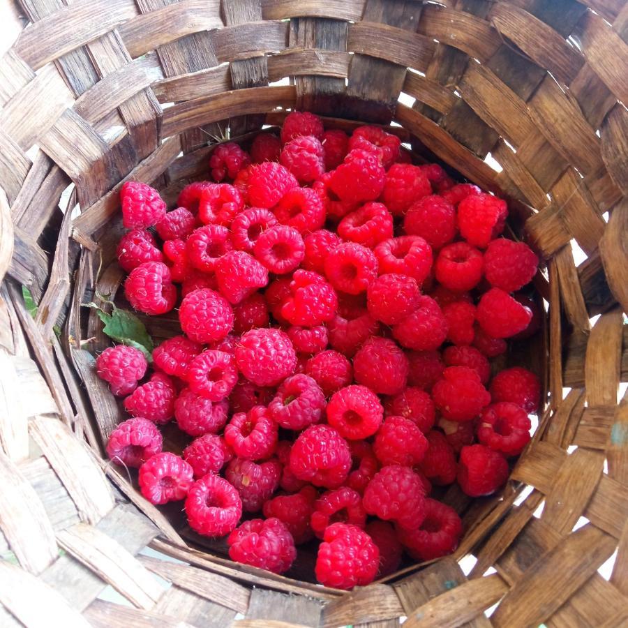 La Ginestra Bed & Breakfast Fosdinovo