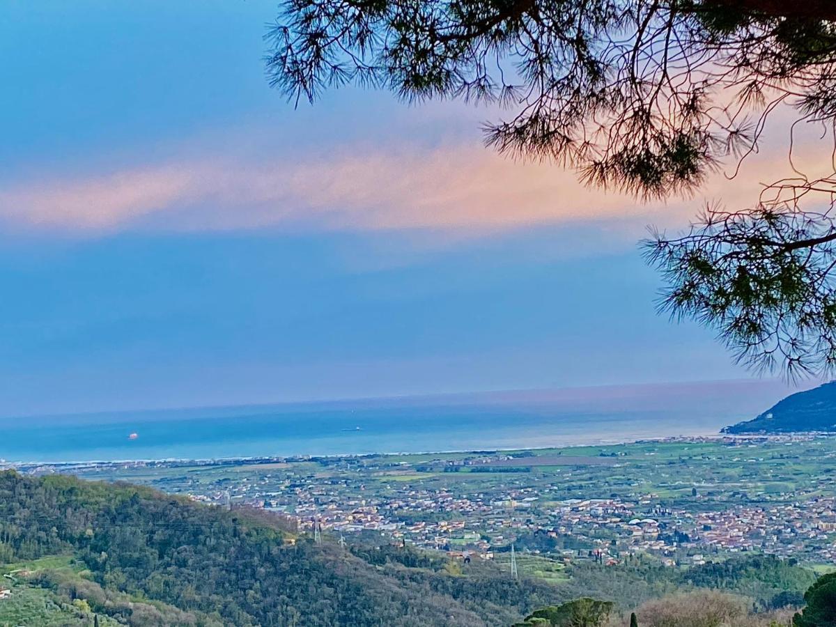 La Ginestra