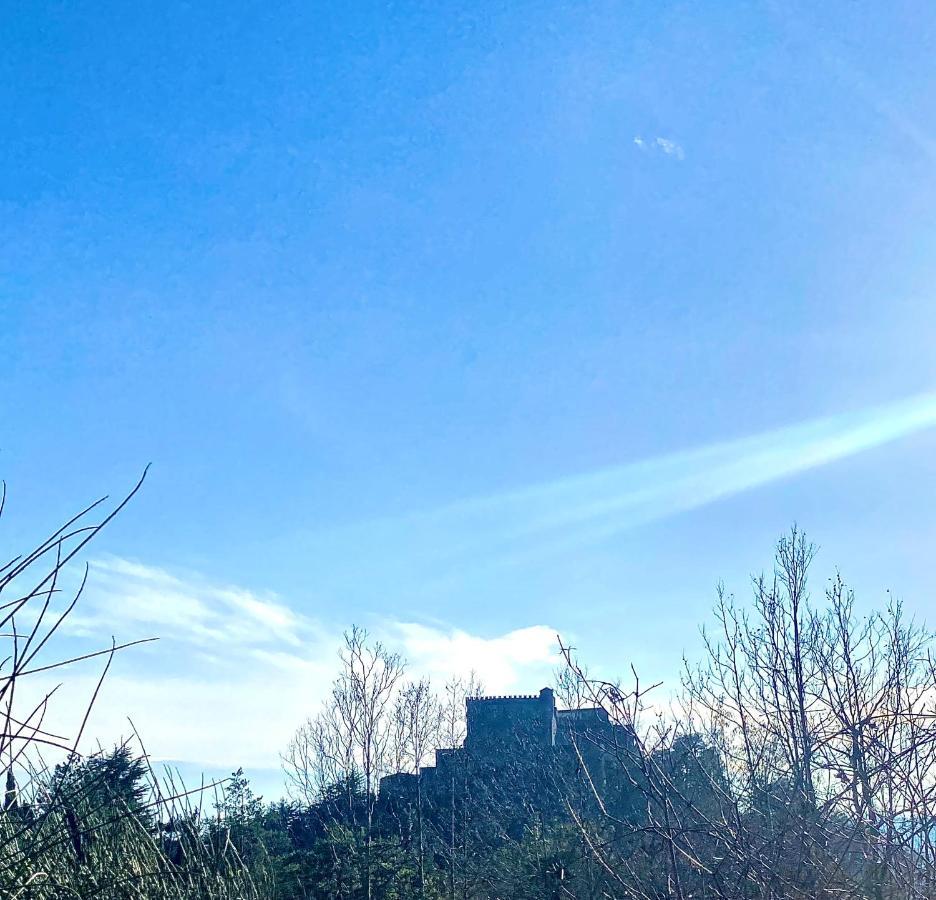 La Ginestra *