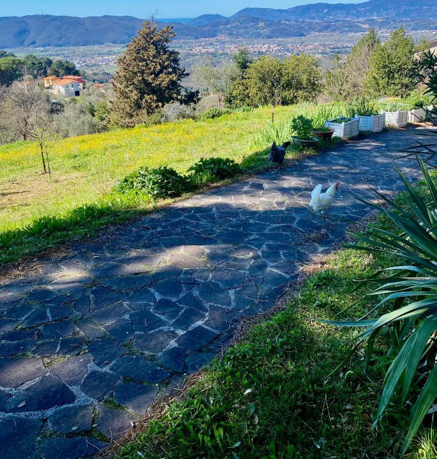 Bed & Breakfast La Ginestra *