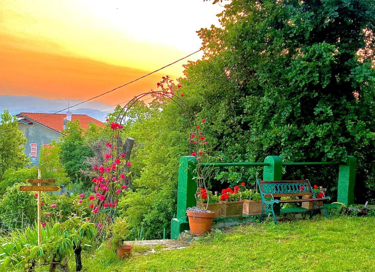 La Ginestra
